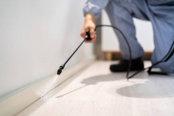 Licensed Pest Control service in Holley, NY - Show Me Pest Control