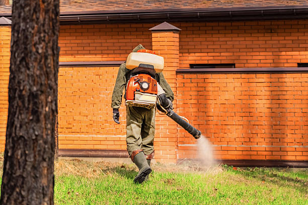 Top rated local Mosquito Control specialists in Holley, NY